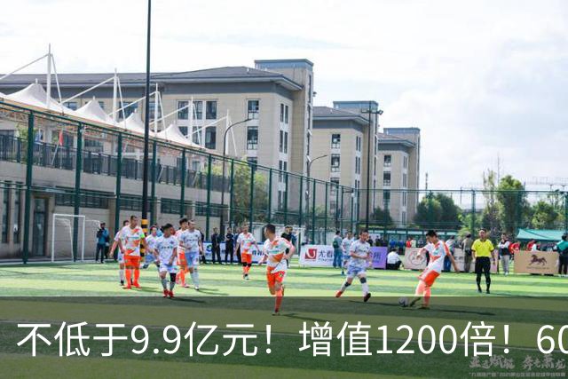 不低于9.9亿元！增值1200倍！600476，涨停