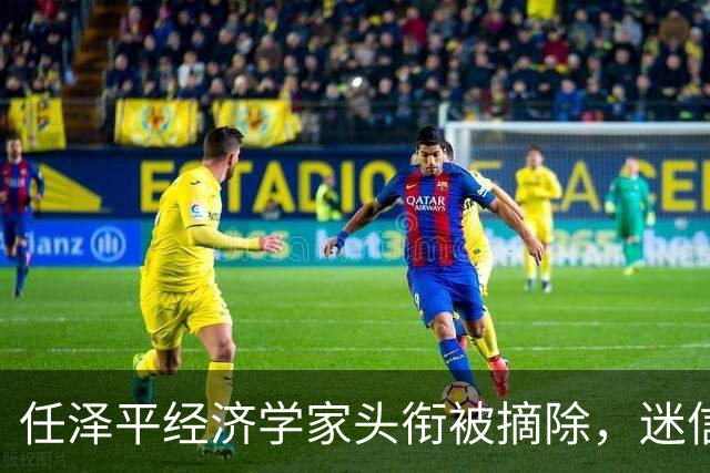 任泽平经济学家头衔被摘除，迷信任何人都是要被割韭菜的