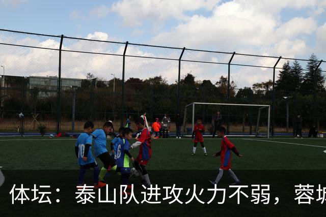 体坛：泰山队进攻火力不弱，蓉城可立足防守但必须保留进攻威胁