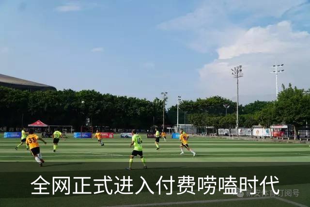 全网正式进入付费唠嗑时代
