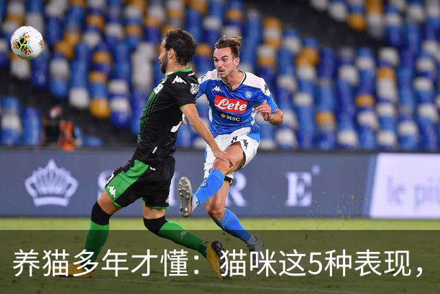 养猫多年才懂：猫咪这5种表现，不是撒娇，是旺家的征兆