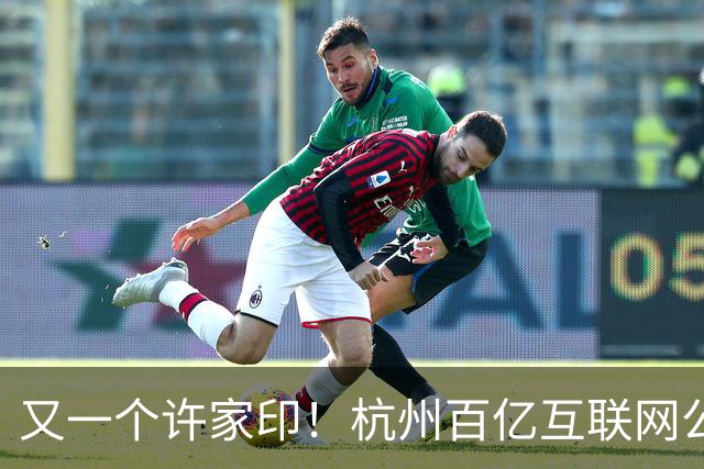 又一个许家印！杭州百亿互联网公司暴雷，49岁创始人失联被立案