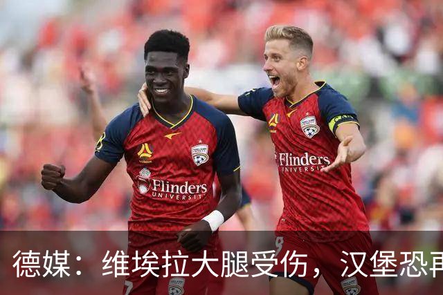 德媒：维埃拉大腿受伤，汉堡恐再失一名核心球员