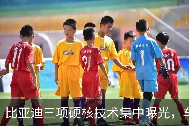 比亚迪三项硬核技术集中曝光，车友都在问：会不会先给方程豹？