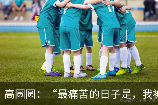 高圆圆：“最痛苦的日子是，我被关起来了！”