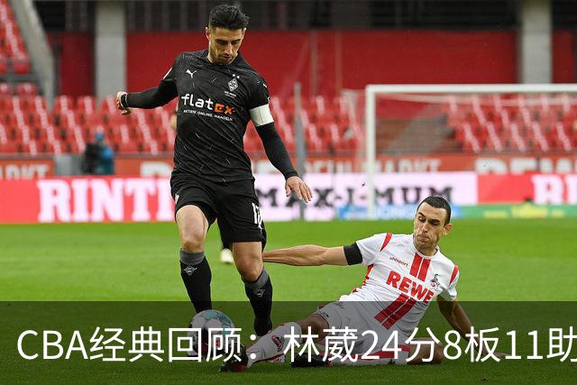 CBA经典回顾：林葳24分8板11助攻，南京不敌新疆