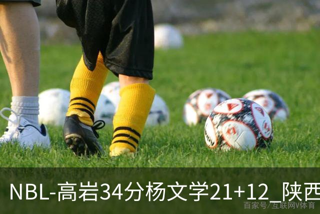 NBL-高岩34分杨文学21+12 陕西信达晋级总决赛